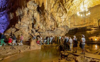 salta la coda biglietto d'ingresso oscuro alla grotte de baume