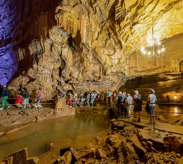 salta la coda biglietto d'ingresso oscuro alla grotte de baume