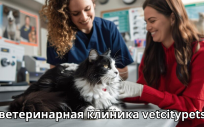 ветеринарная клиника vetcitypets